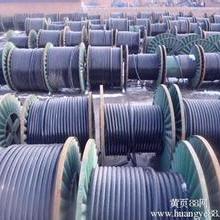 特種電纜 連接現(xiàn)代科技動脈的“隱形守護者”
